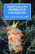 A field guide to the nudibranchs of the British Isles