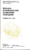 Molluscs : Prosobranch and Pyramidellid Gastropods